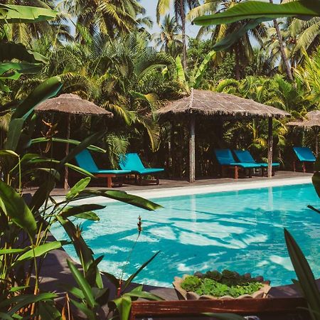 Devarya Wellness Beach Resort Morjim Exterior photo