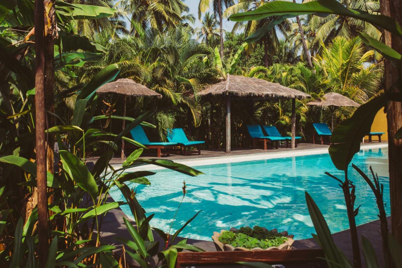 Devarya Wellness Beach Resort Morjim Exterior photo