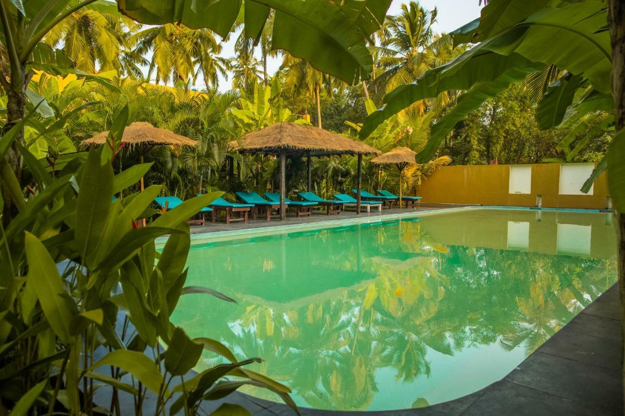 Devarya Wellness Beach Resort Morjim Exterior photo